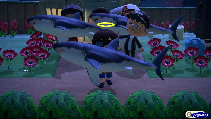 Sharks hide the pitfall in ACNH.