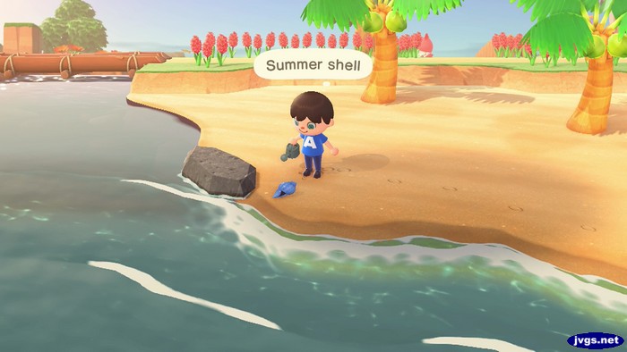 A summer shell in Animal Crossing: New Horizons.