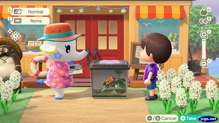Tia consults a bug book while examining a man-faced stink bug in Animal Crossing: New Horizons.