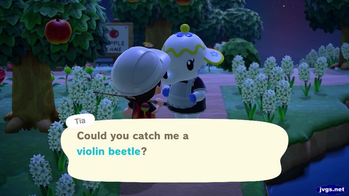 Tia: Could you catch me a violin beetle?