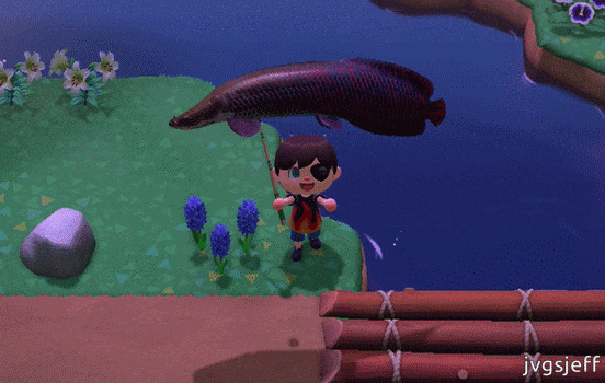 Animated GIF of Jeff bouncing an arapaima in Animal Crossing: New Horizons.
