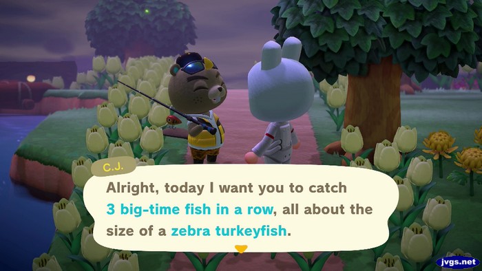 C.J.: Alright, today I want you to catch 3 big-time fish in a row, all about the size of a zebra turkeyfish.