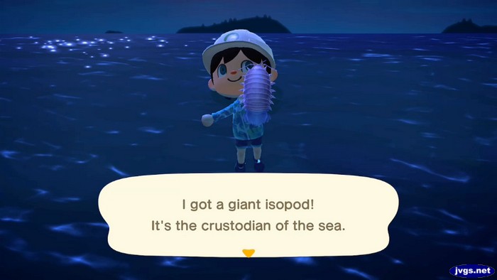 I got a giant isopod! It's the crustodian of the sea.