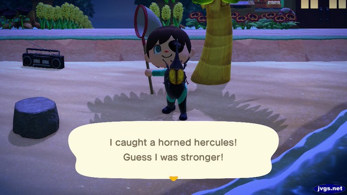 I caught a horned hercules! Guess I was stronger!