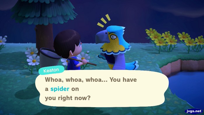 Keaton: Whoa, whoa, whoa... You have a spider on you right now?