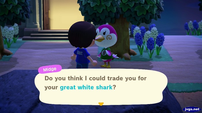 Midge: Do you think I could trade you for your great white shark?