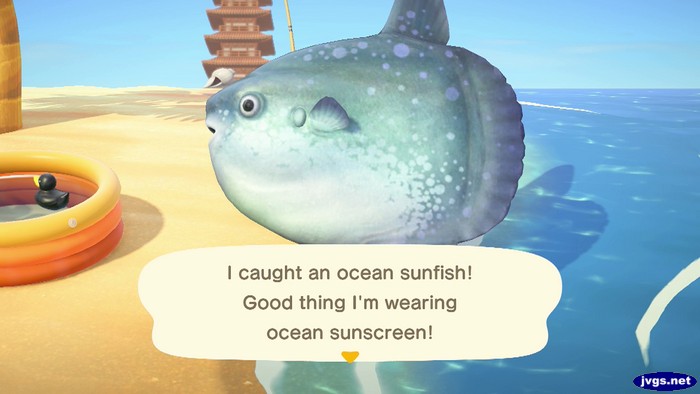 I caught an ocean sunfish! Good thing I'm wearing ocean sunscreen!