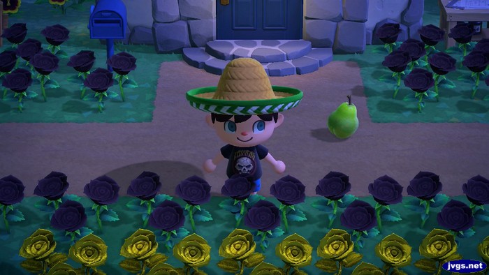 Jeff wears a sombrero from Gulliver in Animal Crossing: New Horizons.