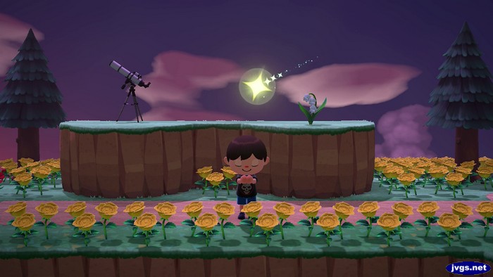 Jeff wishes on a shooting star at Spectacle Rock in Animal Crossing: New Horizons.