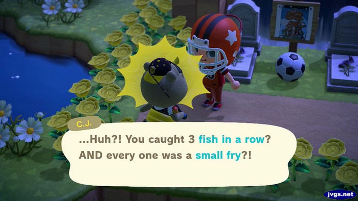 C.J.: ...Huh?! You caught 3 fish in a row? AND every one was a small fry?!