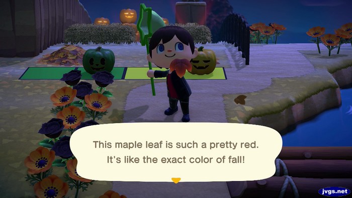 Animal Crossing: When (& Where) You Can Find Maple Leaves