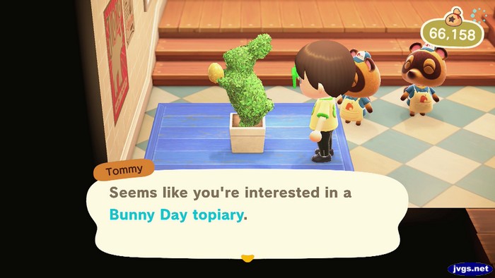 Tommy: Seems like you're interested in a Bunny Day topiary.
