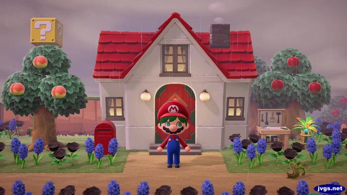 My Mario outfit and red house.