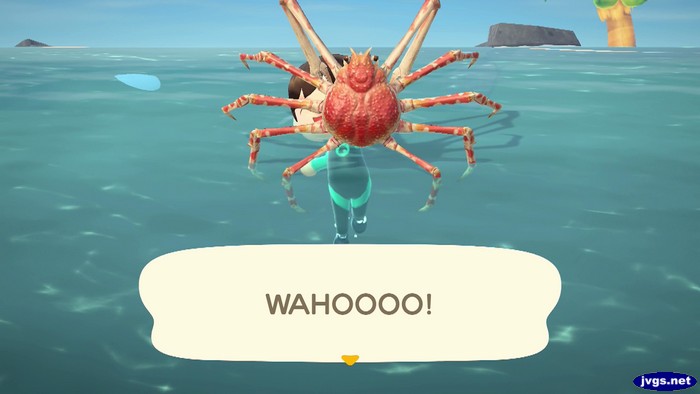 Jeff, holding a spider crab: WAHOOOO!