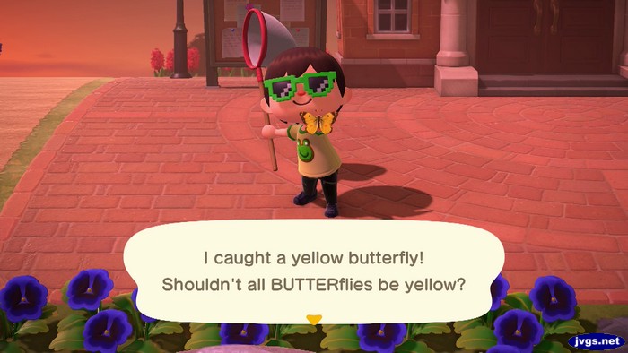 I caught a yellow butterfly! Shouldn't all BUTTERflies be yellow?