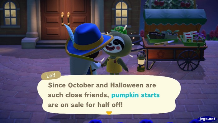 Leif: Since October and Halloween are such close friends, pumpkin starts are on sale for half off!