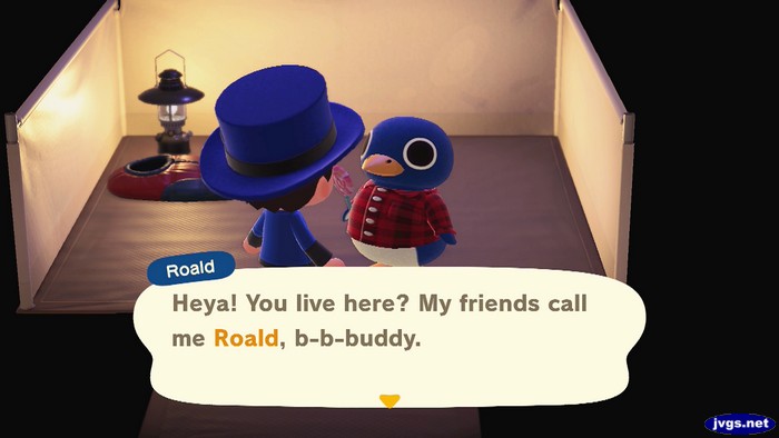 Roald: Heya! You live here? My friends call me Roald, b-b-buddy.