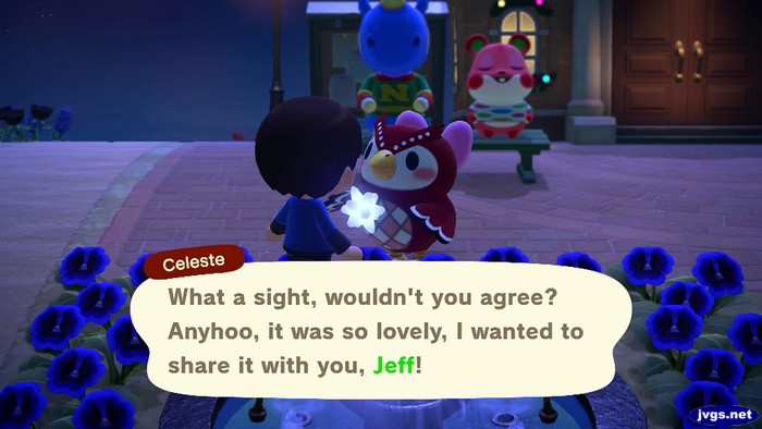 Celeste: What a sight, wouldn't you agree? Anyhoo, it was so lovely, I wanted to share it with you, Jeff!