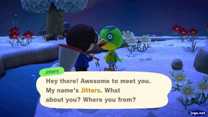 Jitters: Hey there! Awesome to meet you. My name's Jitters. What about you? Where you from?