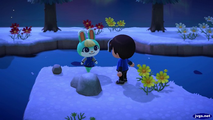 Finding Sasha on a mystery island.