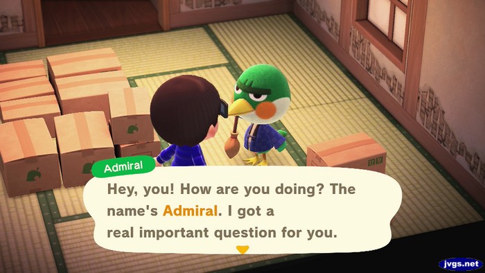 Admiral: Hey, you! How are you doing? The name's Admiral. I got a real important question for you.