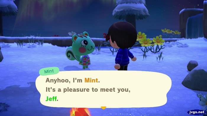Mint: Anyhoo, I'm Mint. It's a pleasure to meet you, Jeff.