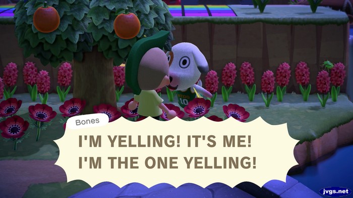 Bones: I'M YELLING! IT'S ME! I'M THE ONE YELLING!