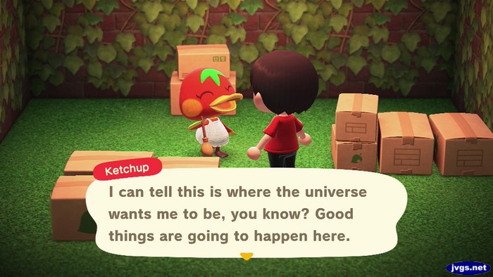Ketchup: I can tell this is where the universe wants me to be, you know? Good things are going to happen here.