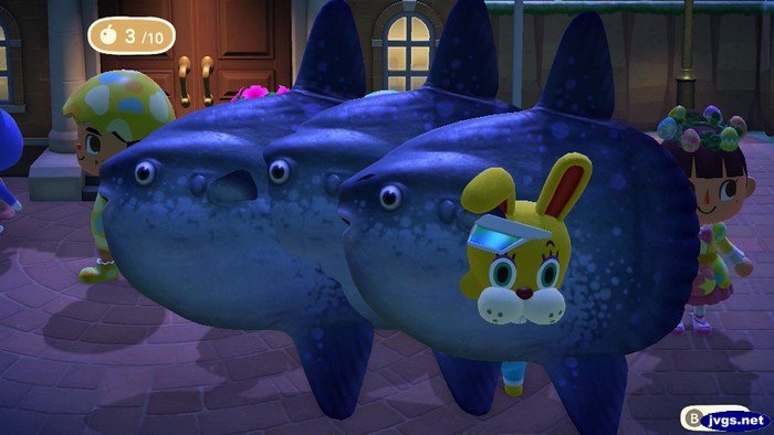 Zipper's head pokes through an ocean sunfish.