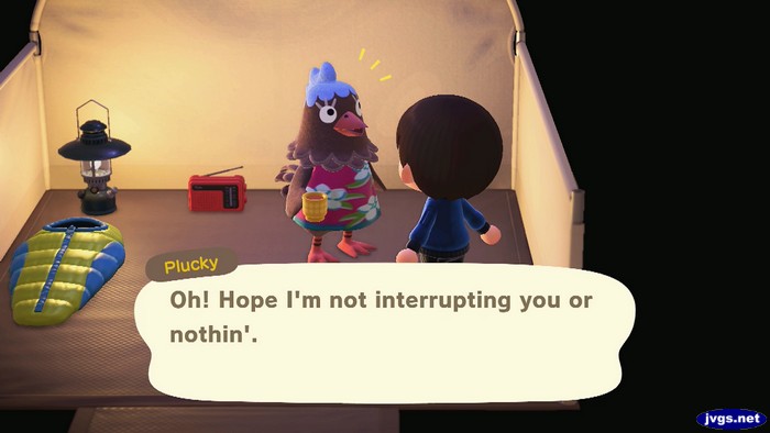 Plucky, at the campsite: Oh! Hope I'm not interrupting you or nothin'.