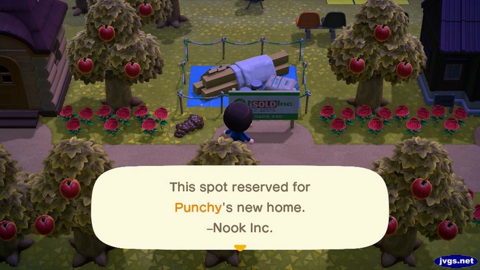 This spot reserved for Punchy's new home. -Nook Inc.