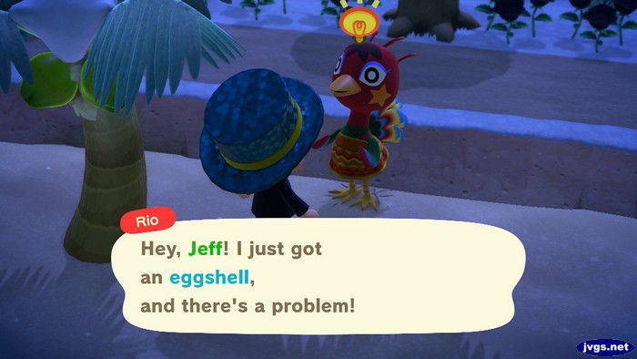 Rio: Hey, Jeff! I just got an eggshell, and there's a problem!