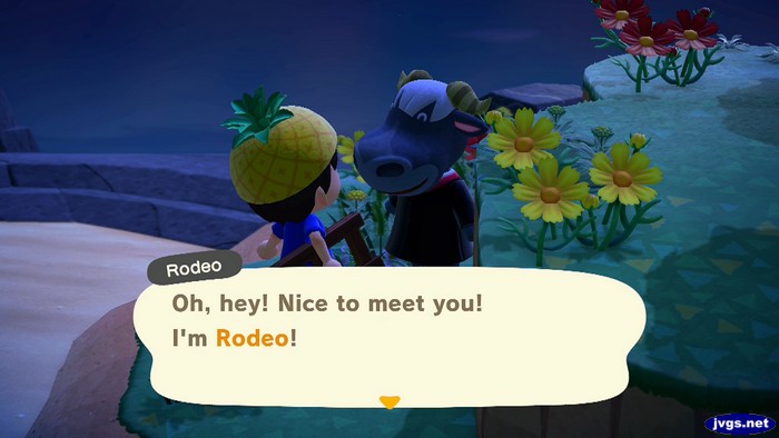 Rodeo: Oh, hey! Nice to meet you! I'm Rodeo!