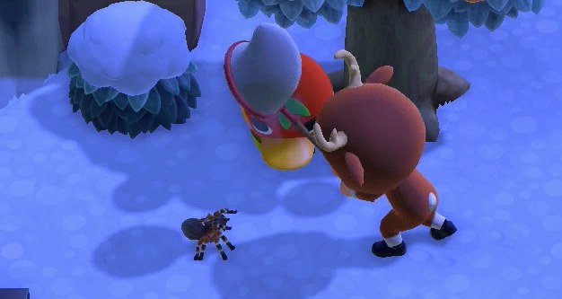 Smacking Ketchup with a net, as a tarantula threatens me.