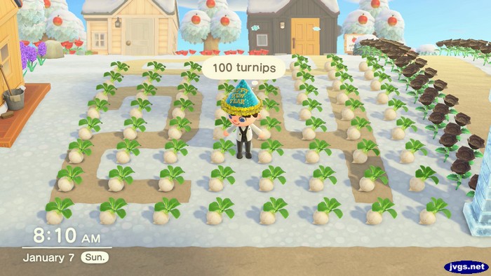 My pile of turnips on the ground.