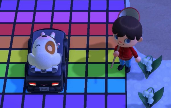 Bones sleeping on Rainbow Road.