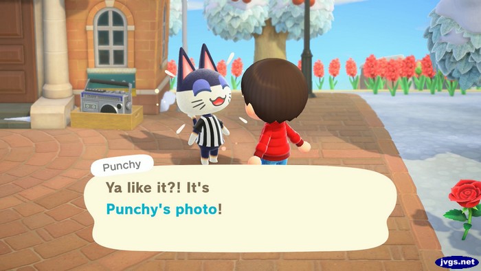 Punchy: Ya like it?! It's Punchy's photo!