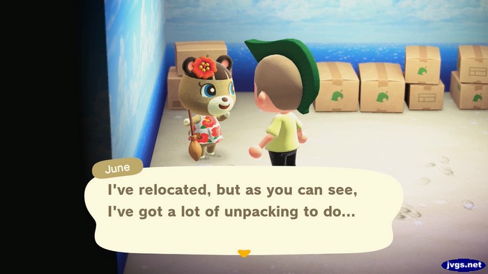 June: I've relocated, but as you can see, I've got a lot of unpacking to do...