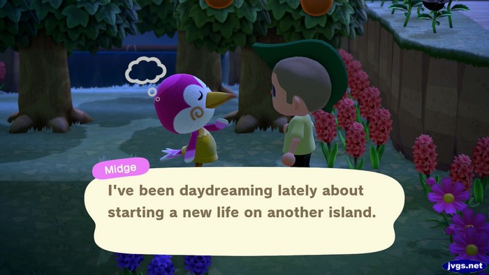 Midge: I've been daydreaming lately about starting a new life on another island.