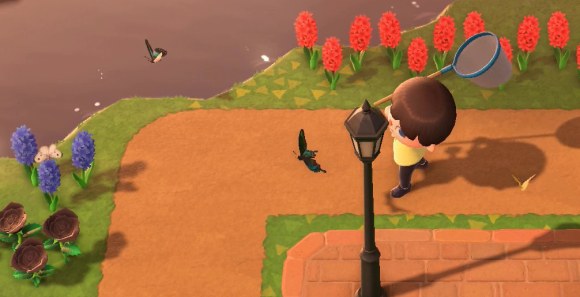 Four different butterflies fly near Resident Services.