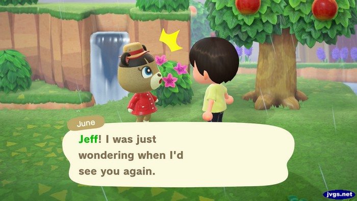 June: Jeff! I was just wondering when I'd see you again.