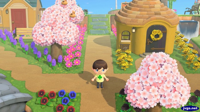 Pink cherry blossom trees in early April in Animal Crossing: New Horizons.