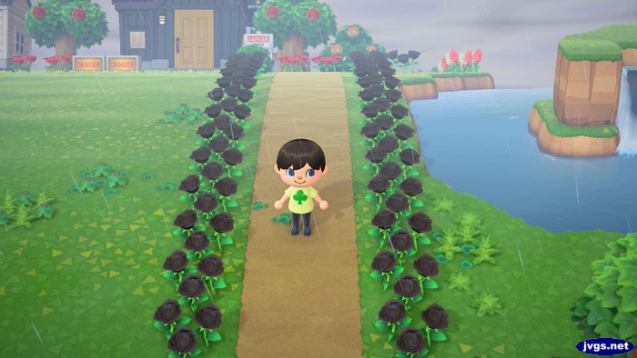 Some rare weeds on the ground in Forest.