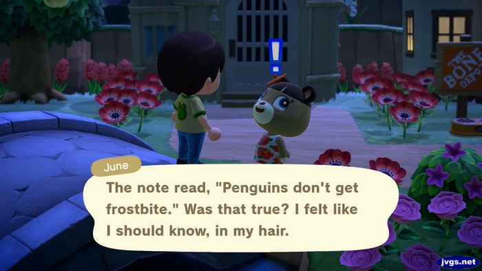 June: the note read, Penguins don't get frostbite. Was that true? I felt like I should know, in my hair.