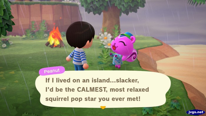 Peanut: If I lived on an island...slacker, I'd be the CALMEST, most relaxed squirrel pp star you ever met!
