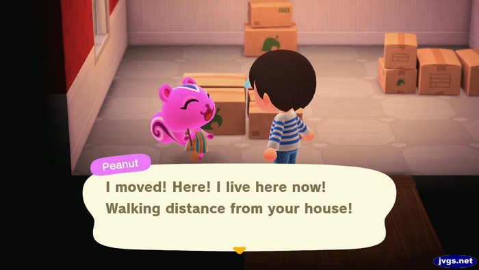 Peanut: I moved! Here! I live here now! Walking distance from your house!