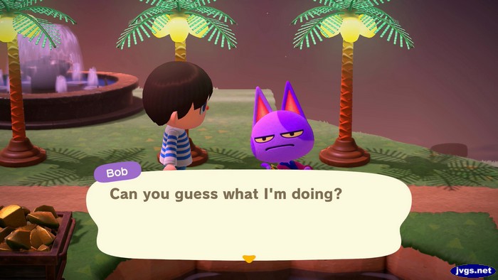 Bob: Can you guess what I'm doing?