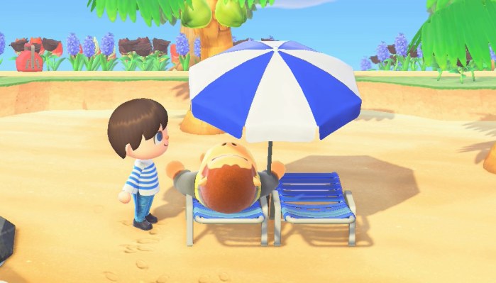 Louie takes a nap on the beach chair.