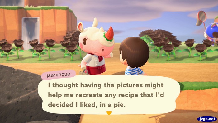 Merengue: I thought having the pictures might help me recreate any recipe that I'd decided I liked, in a pie.