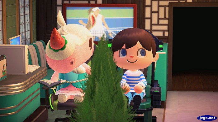 Merengue sits to enjoy a book in my house, as a tennis game plays on TV in the background.